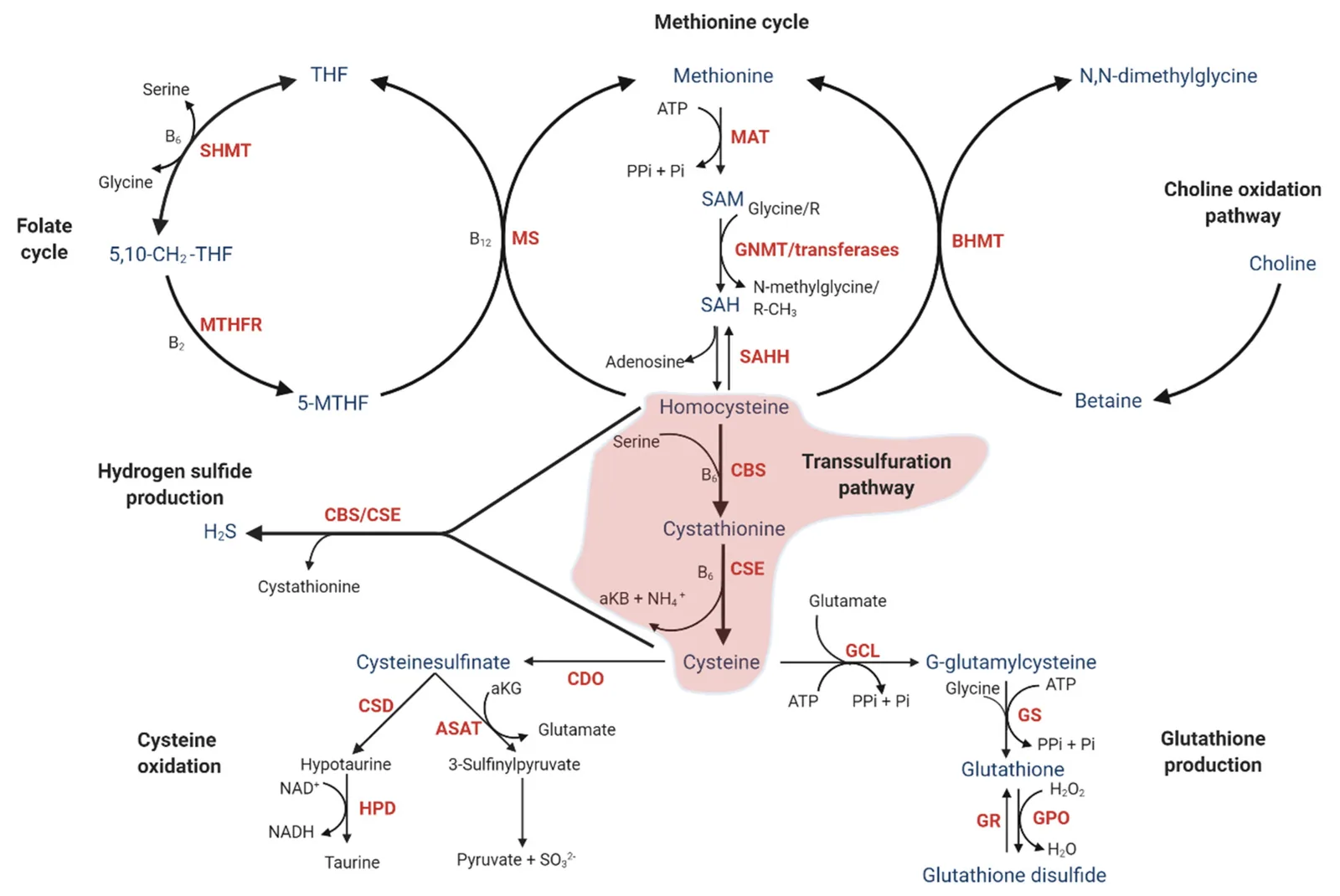 Illustration from Understanding Your CMA with Redox Results: What Those Two Pages Actually Mean