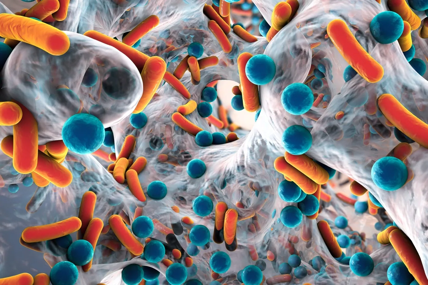 Illustration from The Role of Glutathione in Disrupting Biofilms