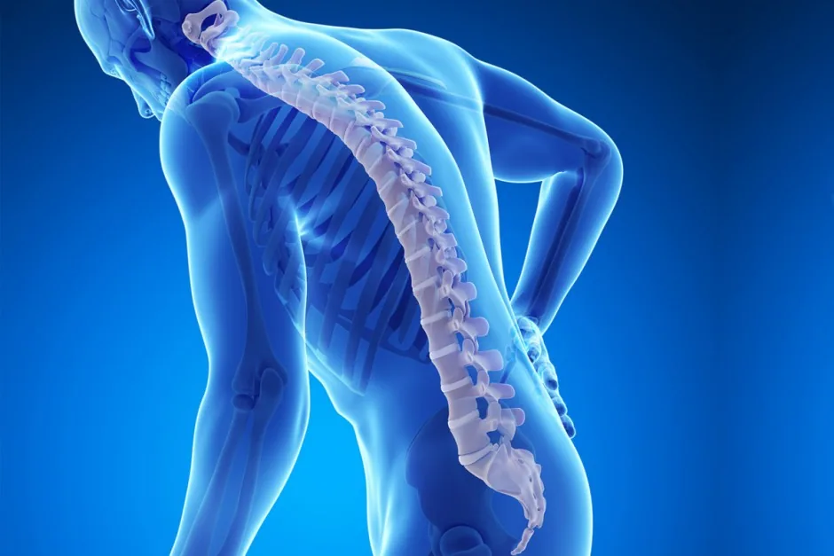 Illustration from Natural Osteoporosis Therapy
