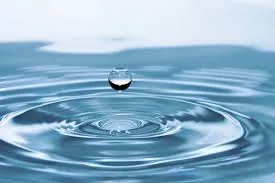 Illustration from Water - Lotus Life