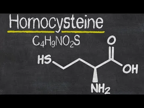 What Homocysteine Levels & MTHFR Mean to You! video thumbnail