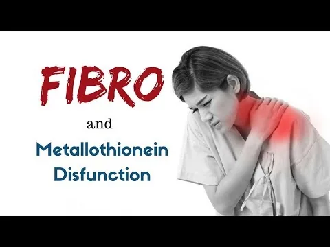 Fibromyalgia and Metallothionein Dysfunctions video thumbnail