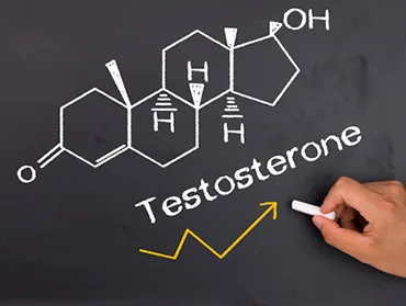 Illustration from Testosterone for Vaginal Dryness & Muscle Wasting in Women