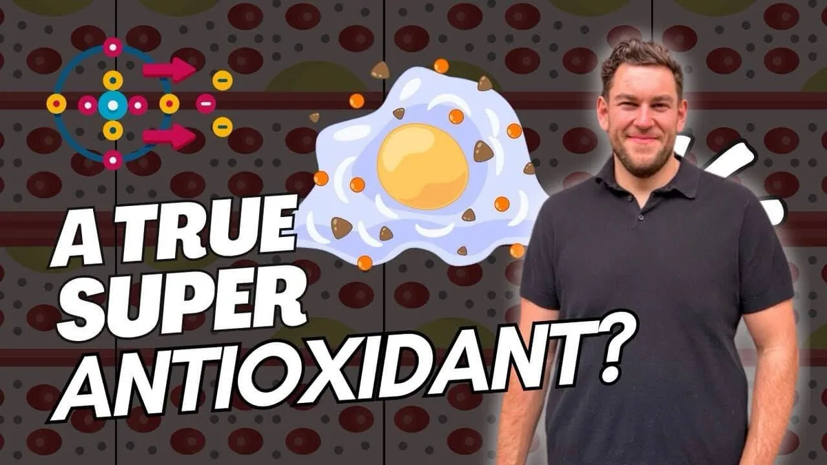 Where did the BEST ANTIOXIDANT come from? video thumbnail